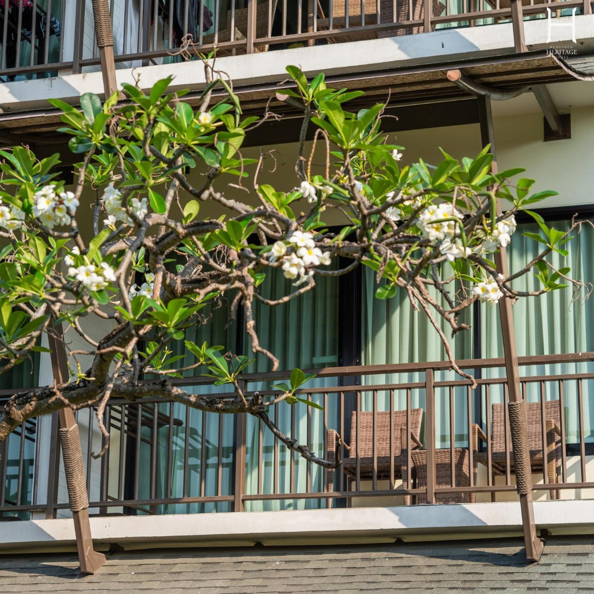 Bangsaen Heritage Hotel - SHA Certified Buitenkant foto